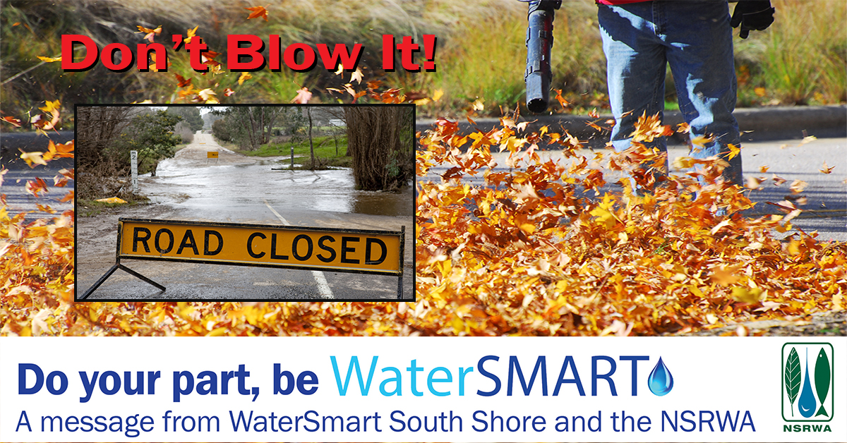 Dont Blow It leaves in storm drain graphic w WS banner